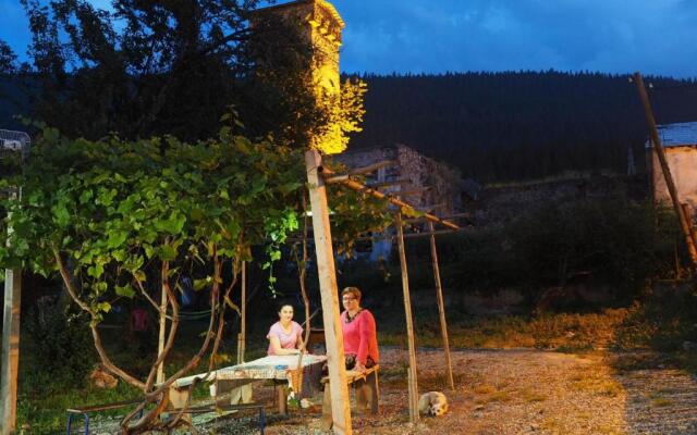 Inga Jafaridze Guesthouse Pele