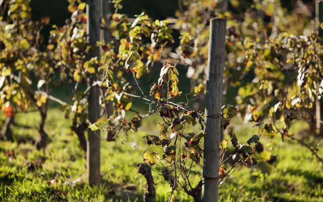 ibis budget Pouilly-en-Auxois