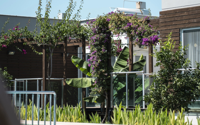 Green Garden Resort & Spa