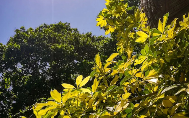 Ecohabs Bosques del Tayrona