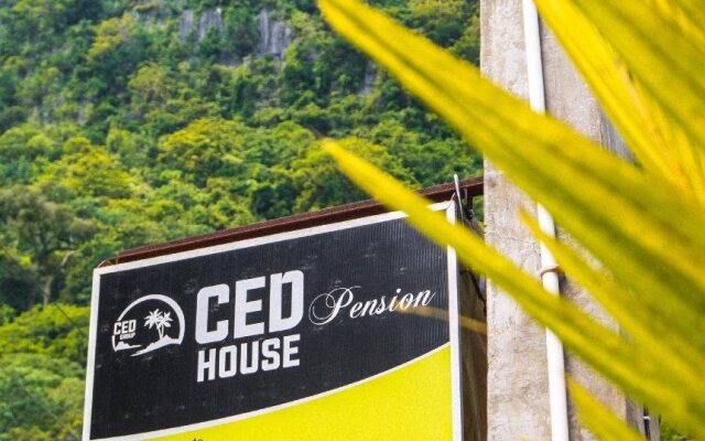 CED Pension