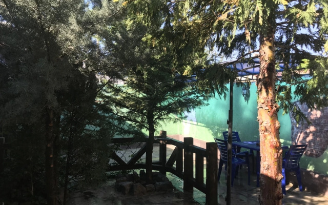 Magic Patio