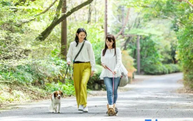 Shikinoyado Koyomi