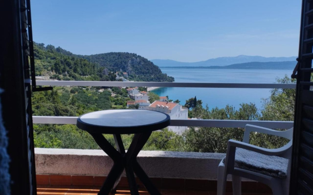 Borovik Guest House