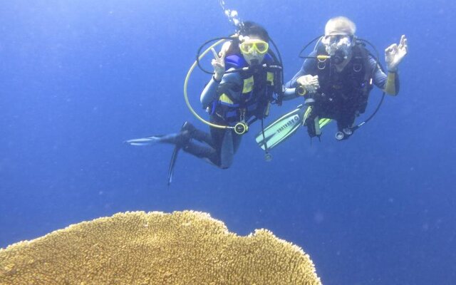 Dive Point Alcoy
