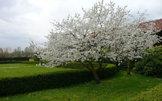 B&B Villa Trissino-Rossi