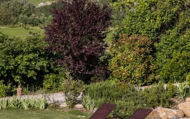 Verdidea - PIAN DELL'ASSO (up to 26 people)