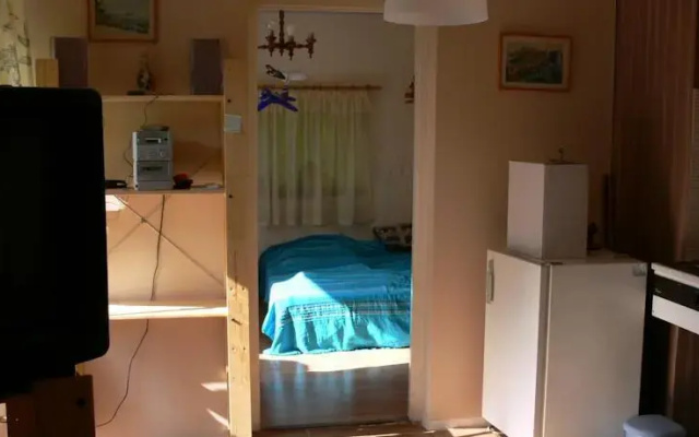 Möwe