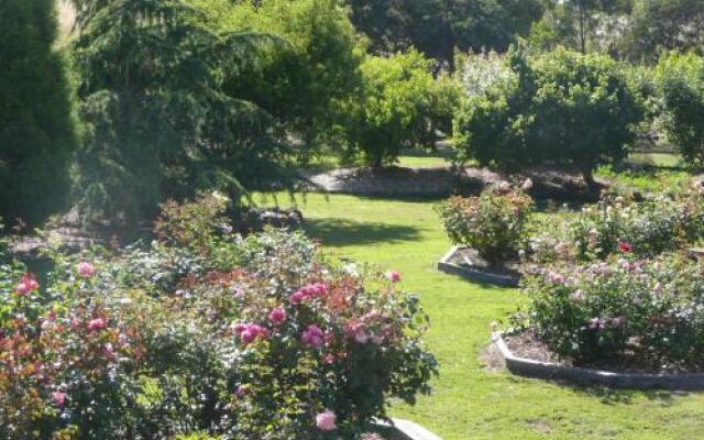 Wisteria Lodge Bed and Breakfast