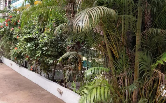 Ivon Guest House, Arambol Beach