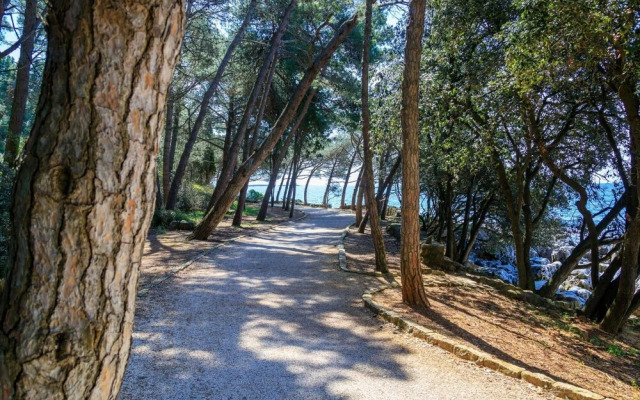 Sea Studio in Rovinj