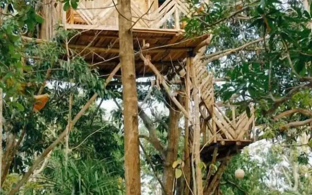 Nyuh Bengkok Tree House