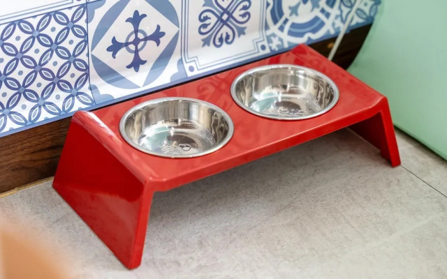 Gapyeong Beilli pet Pool Villa Pension