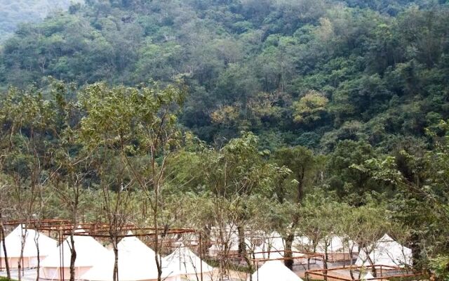 The Tale of Butterfly