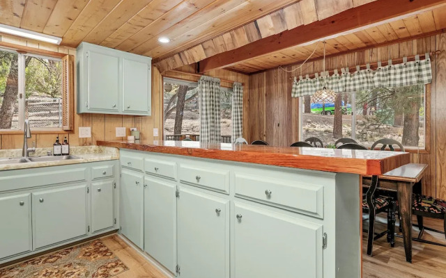 Big Bear Moose House