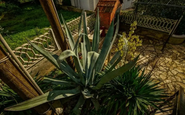 Daju - 3 Colours - A3 Narančasti