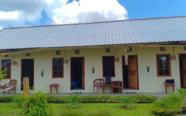 Oyo 3395 Pink Turtle Residence