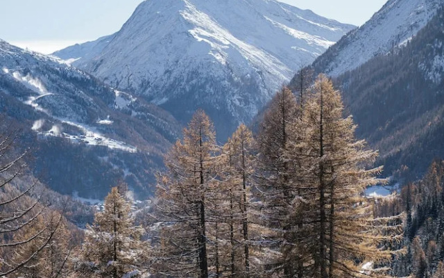 Waldhotel Fletschhorn - Panoramic Retreat in Saas Fee