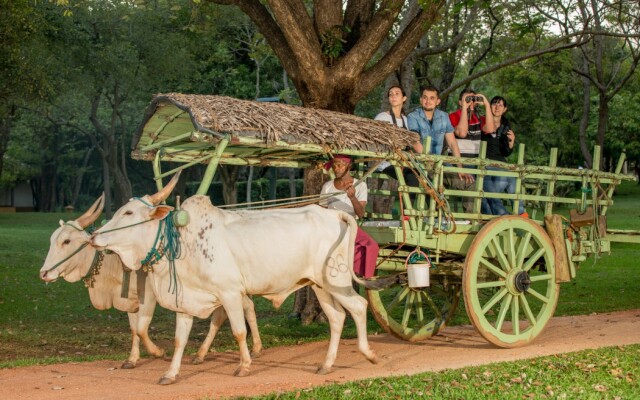 Amaya Signature Dambulla