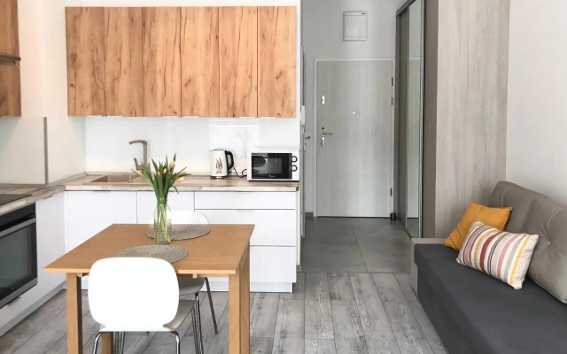Apartament Czechowska Luxury