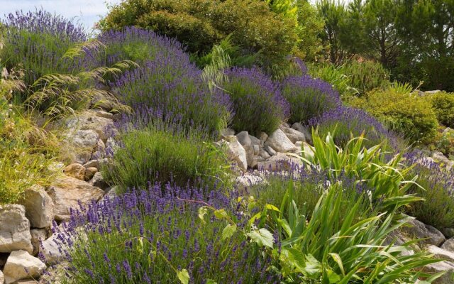 Spacious Villa With Private Swimming Pool and Jacuzzi