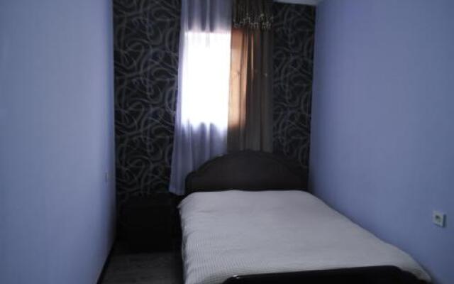 Guest House Dariali