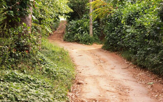 Season7 The Nature Resort - Munnar