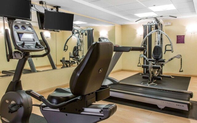 Comfort Inn & Suites East Hartford - Hartford