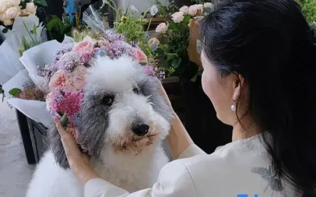 THEPLANTS Aesthetics Homestay.