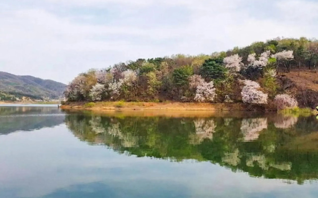 Anseong Pension Ddeulanche