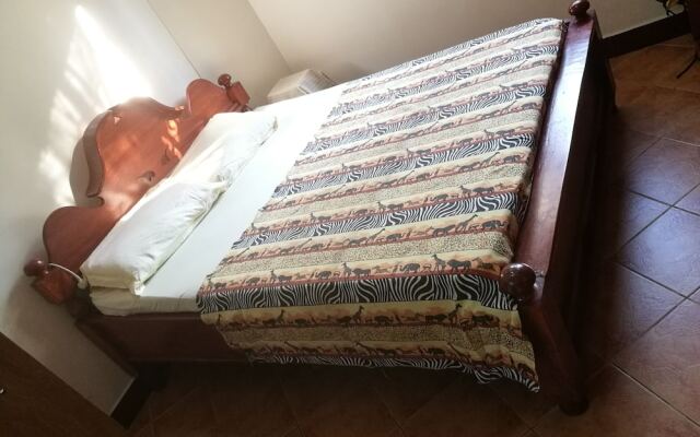 In-Africa Stay