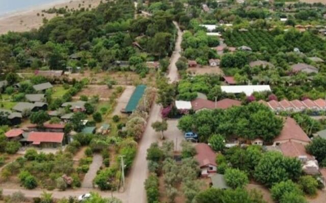 Şah Apart