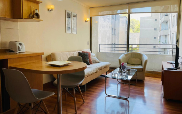 Santiago Lastarria Apartment