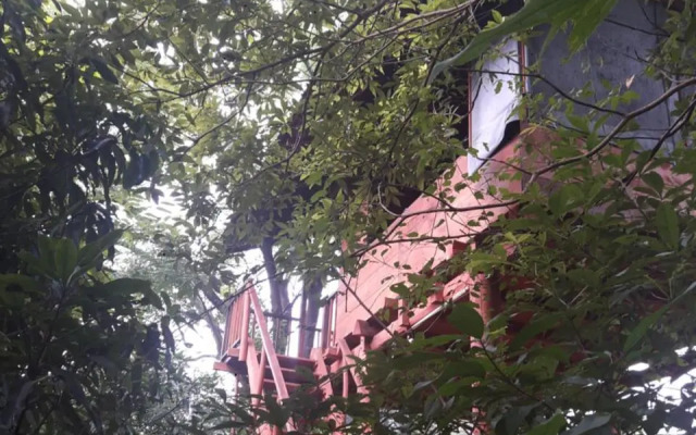 Dambulla Tree House