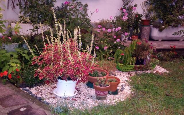 Nel giardino di Oz