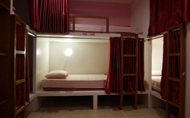 Sleepy Raccoon Hostel