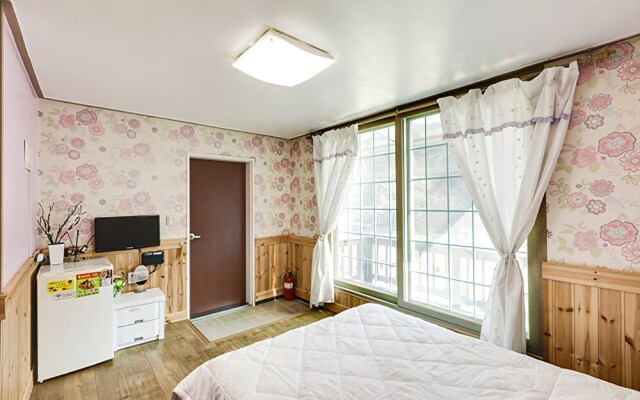 Wonju Sunnyhill Pension