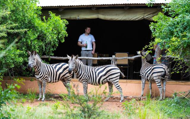 Leopard Walk Lodge