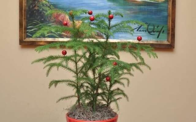 Hotel Colonial Blanco