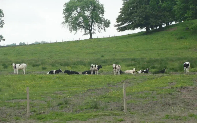 Dunroamin