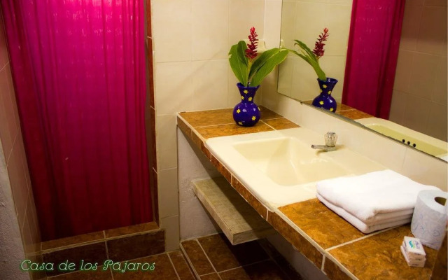 Casa De Los Pájaros - B&B