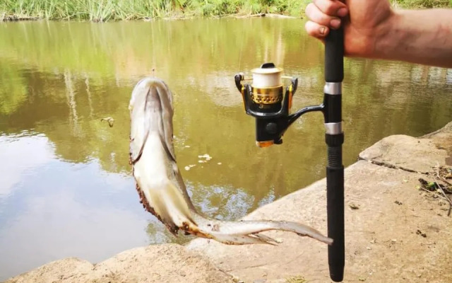 Studio 3 Churchill Lane Self catering accommodation