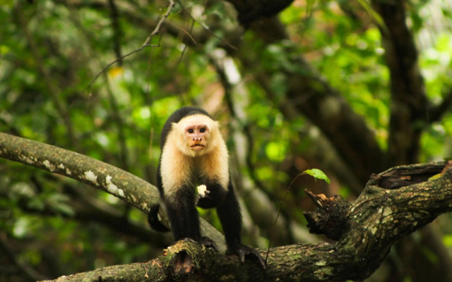 Trujillo Beach Eco-Resort