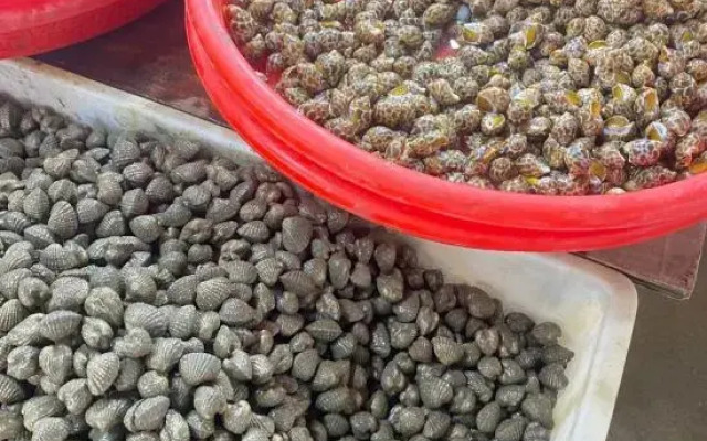 Dongshan Island Tinghai BBQ Homestay