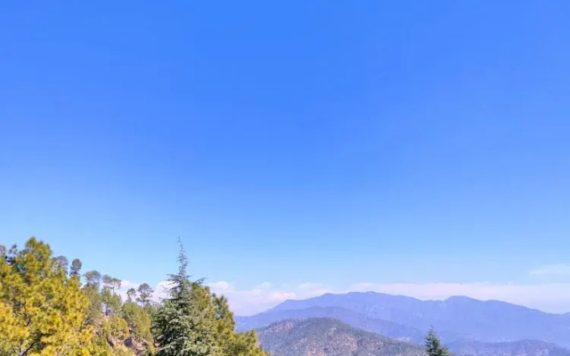 The Alpine Vista