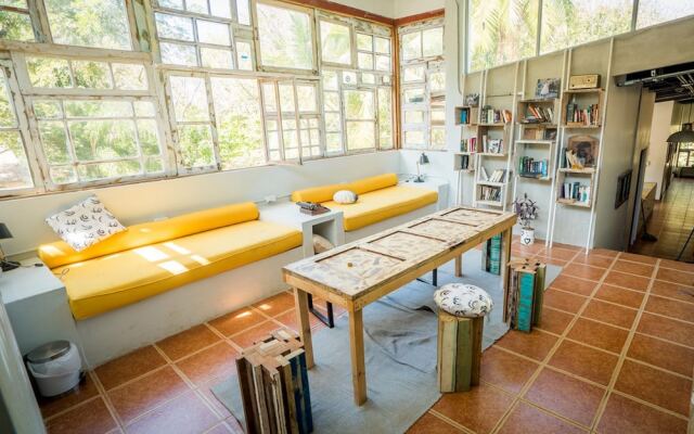 Sta Teresa Surf Camp by Selina Surf Club