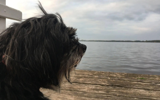 HansenS Haus am Meer