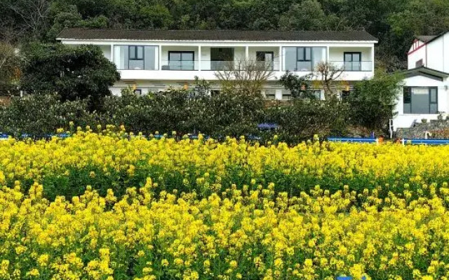 Xingyi QingqingYuye Homestay