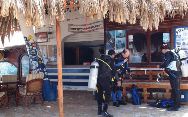 Umbi Sharks Bay Diving Village