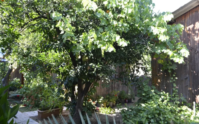 Olympos Mercan Bungalow